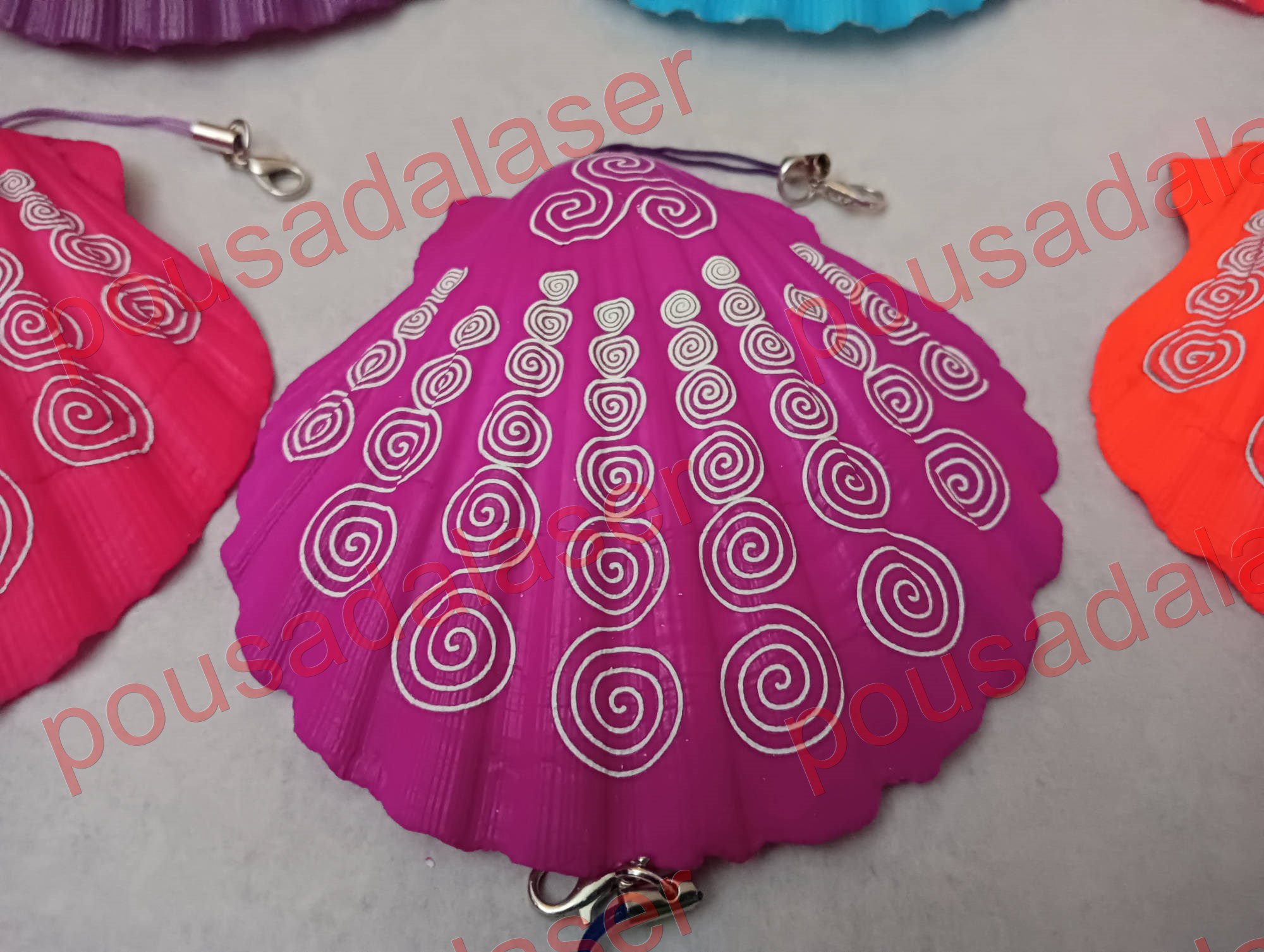 conchas peregrino